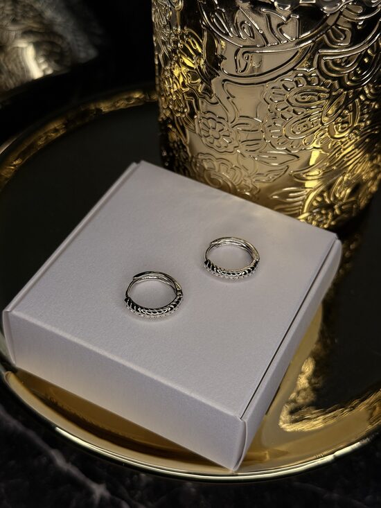 Sudraba riņķīšu auskariņi PP2