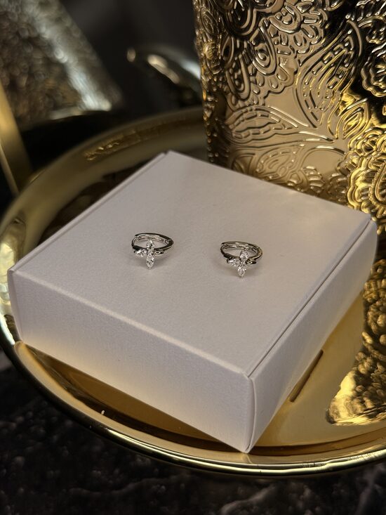 Sudraba minī auskariņi lux V2