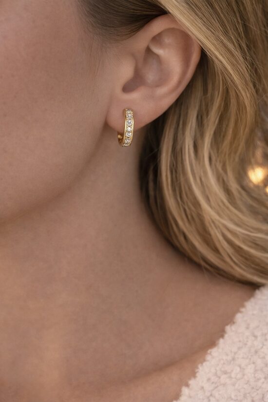 Apzeltīti auskariņi lux V23