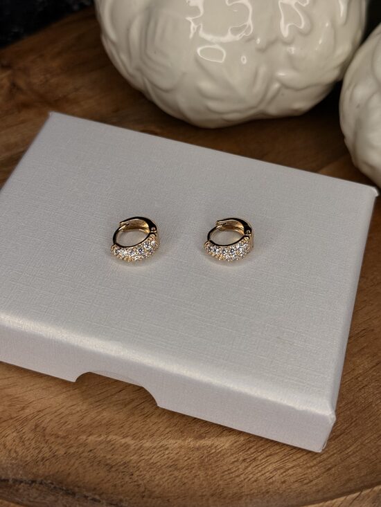 Rozā zelta auskariņi luxus RP19