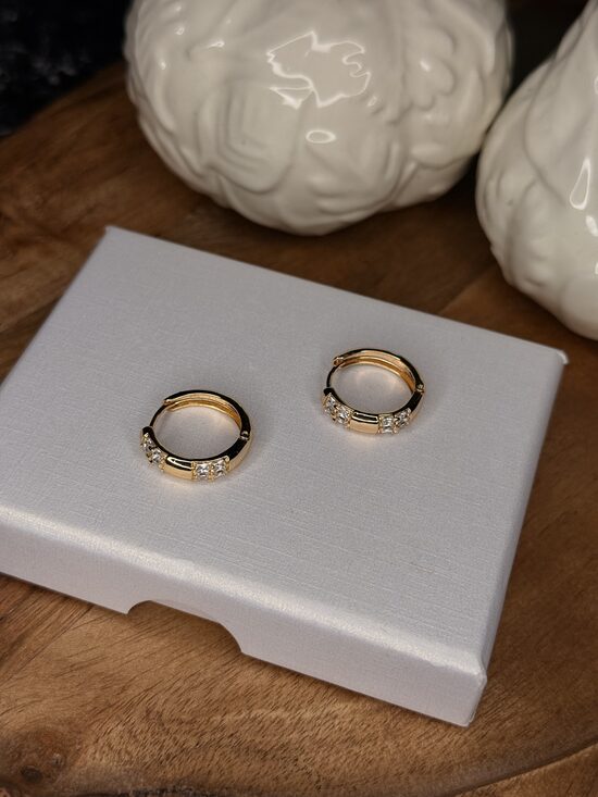 Rozā zelta auskariņi luxus RP11