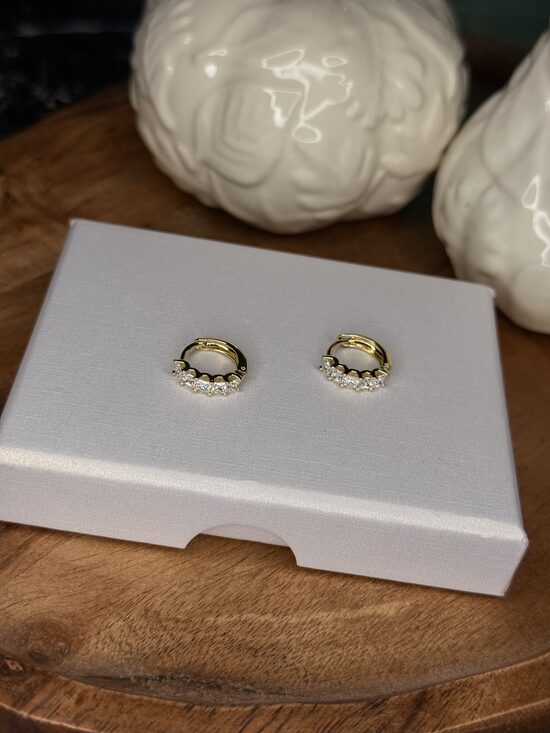 Apzeltīti lux auskariņi ar cirkonijiem - RP3