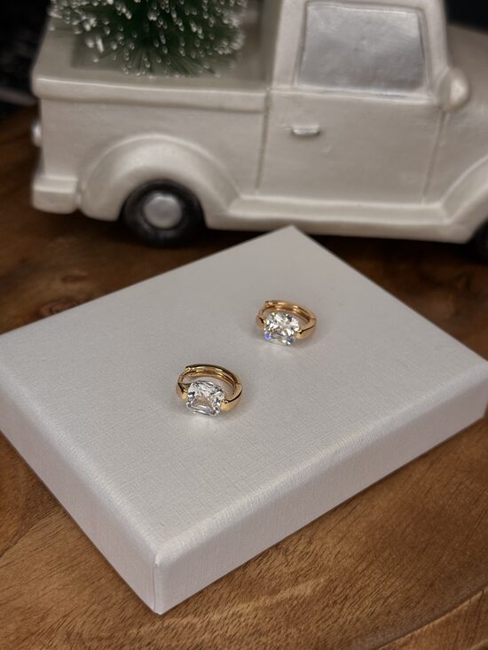 Rozā zelta auskariņi ar baltiem cirkonijiem SP11