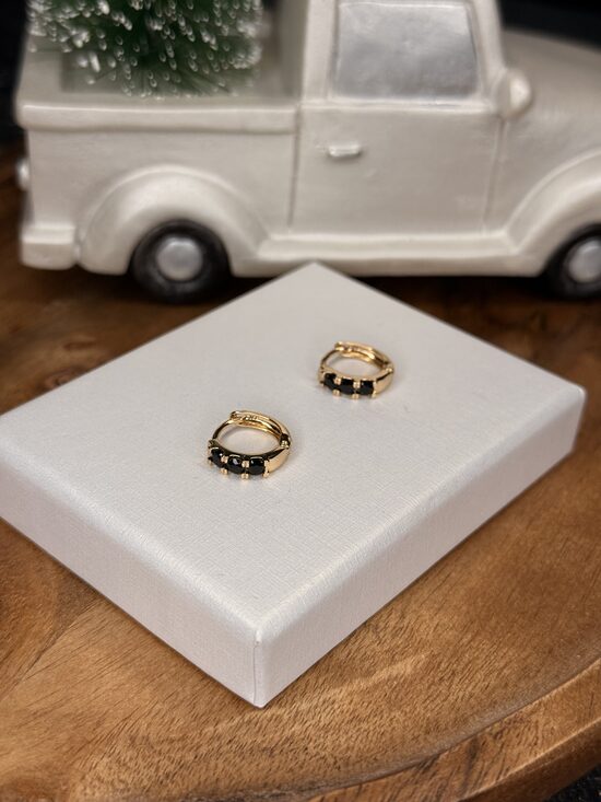 Rozā zelta riņķīši ar melniem cirkonijiem SP9