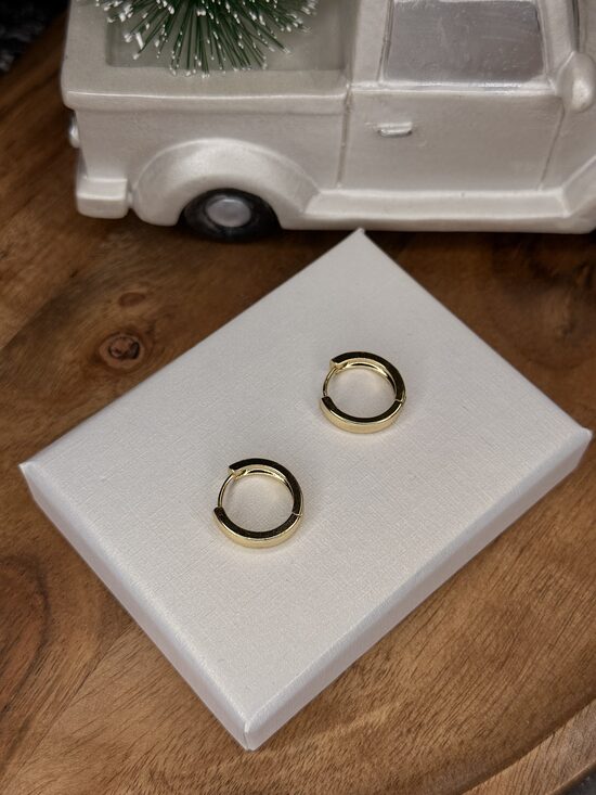 Apzeltīti ikdienas auskariņi SP8