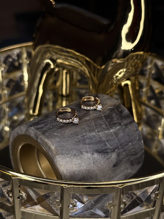 Rozā zelta auskariņi ar cirkonijiem GH2