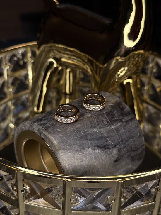 Rozā zelta auskariņi ar cirkonijiem GH1