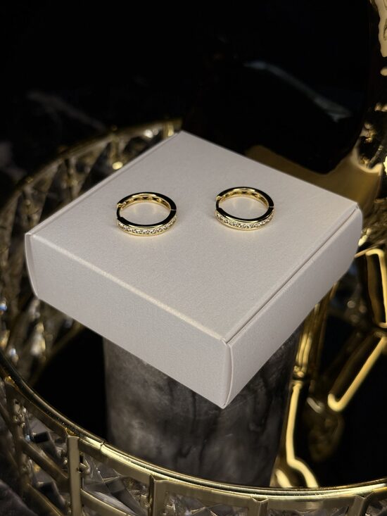 Apzeltīti lux auskariņi ar cirkonijiem EE15